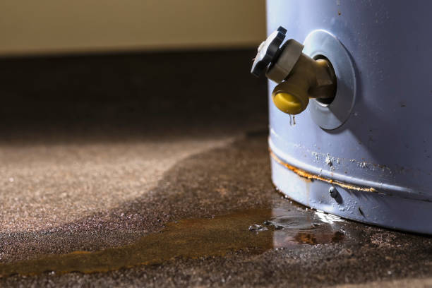 Best Flood restoration services  in Rlborough, MA