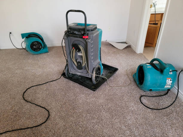 Best Water damage restoration near me  in Rlborough, MA