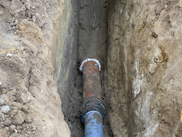 Best Sewage cleanup and water damage restoration  in Rlborough, MA