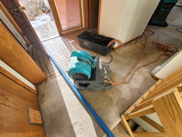 Best Water damage contractors near me  in Rlborough, MA