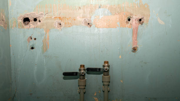 Best Mold removal after water damage  in Rlborough, MA