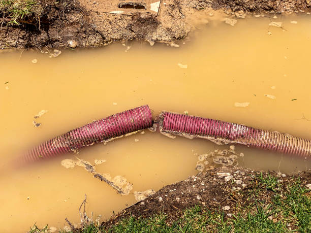 Best Water damage cleanup near me  in Rlborough, MA