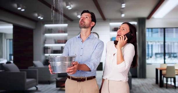 Best 24/7 water damage repair  in Rlborough, MA